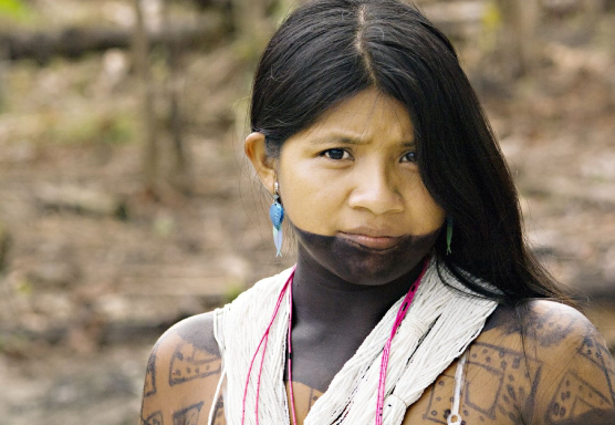 tribo-indígena marubo