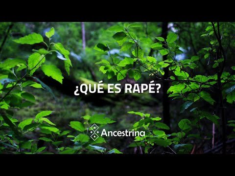 Miniatura del video: What is sacred snuff rapé?